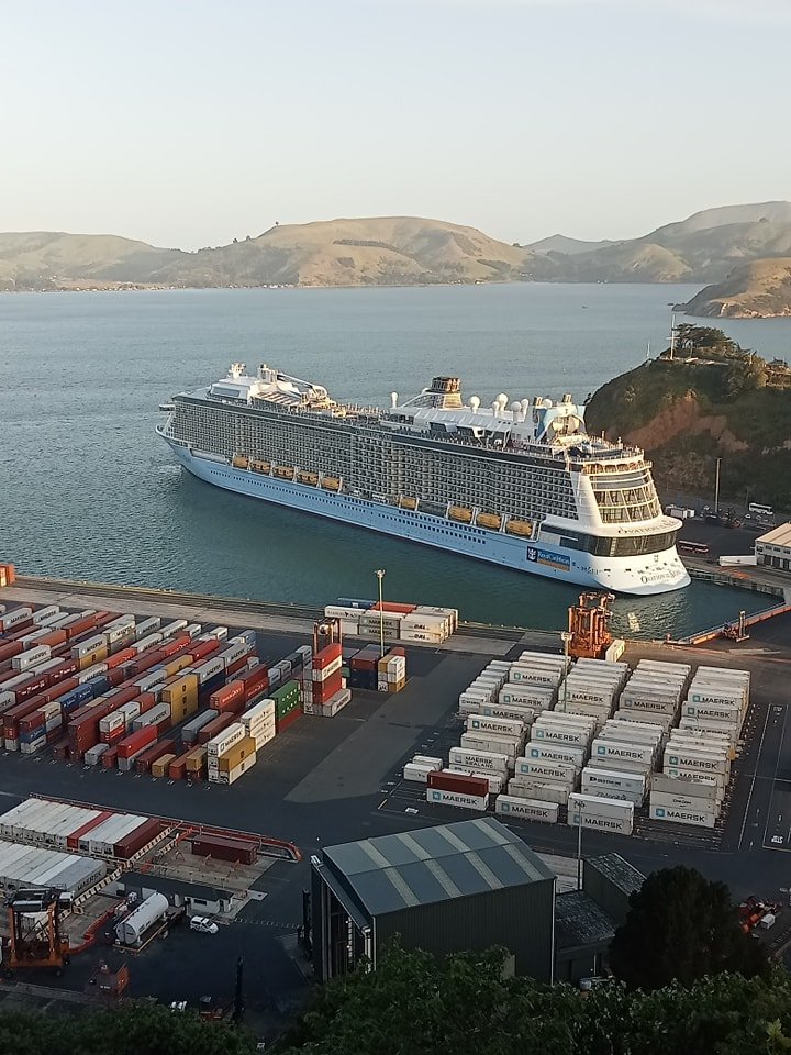 Cruise ship in Port Chalmers