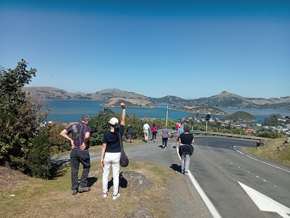 A view across Otago Harbour