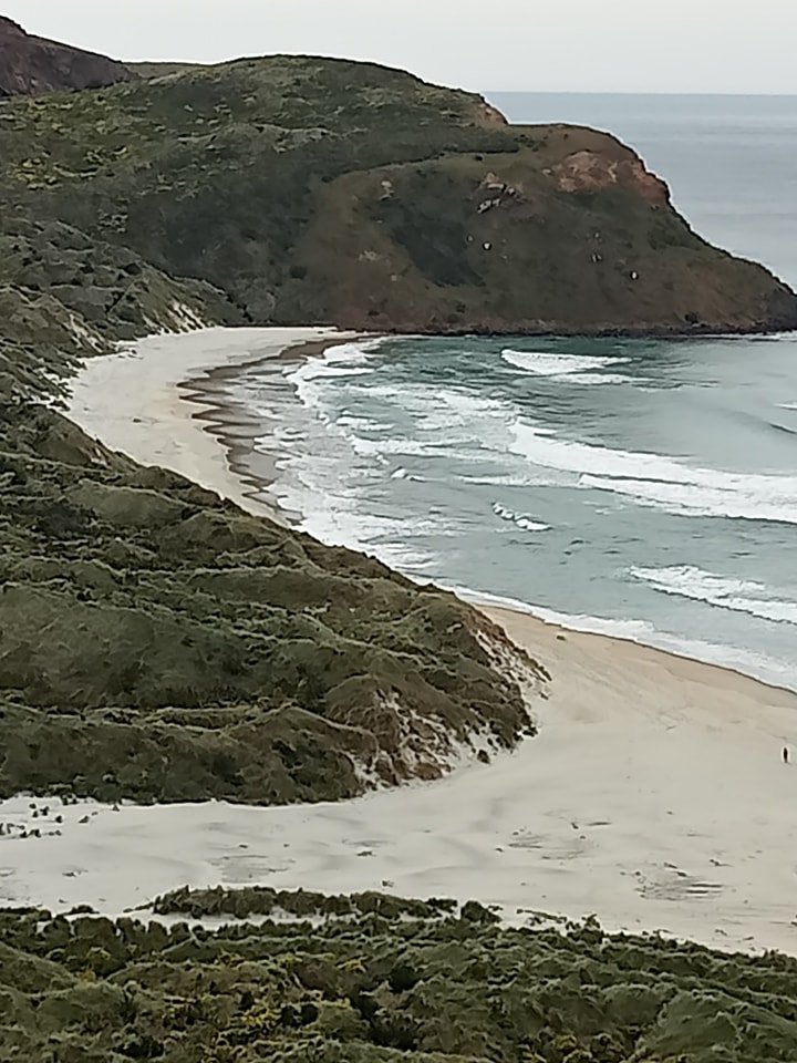 Coastal scenery near Dunedin
